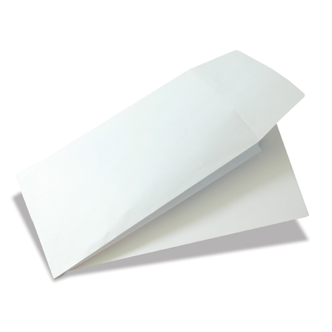 Protective Envelopes